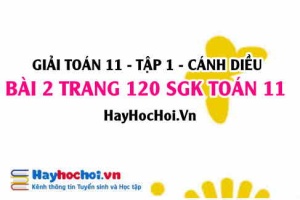 Giải bài 2 trang 120 Toán 11 tập 1 SGK Cánh Diều